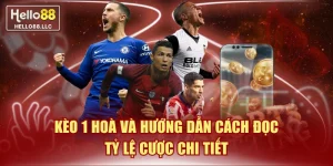 Kèo 1 Hoà Và Hướng Dẫn Cách Đọc Tỷ Lệ Cược Chi Tiết