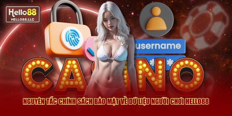 Nguyên tắc chính sách bảo mật về dữ liệu người chơi Hello88